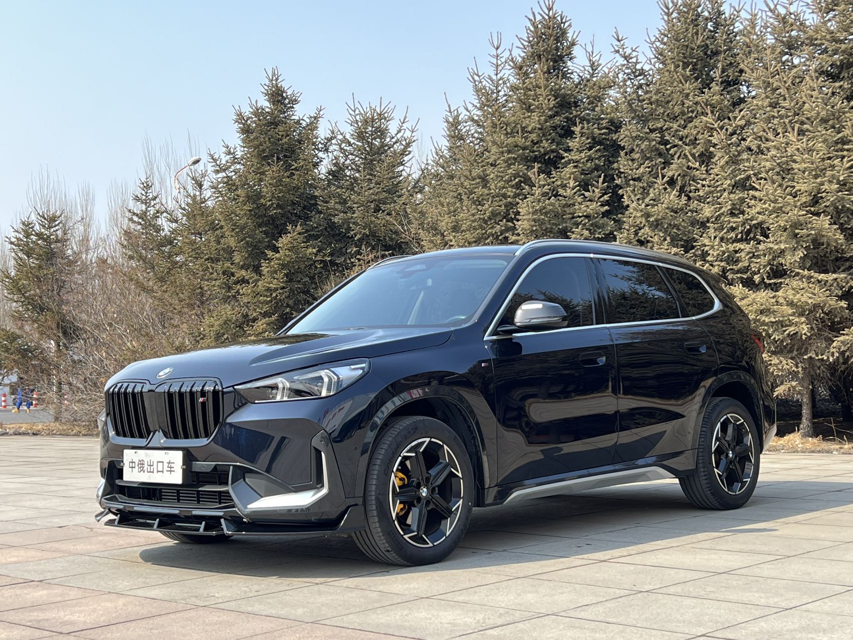 Модель 2023 sDrive20i с пакетом дизайна X