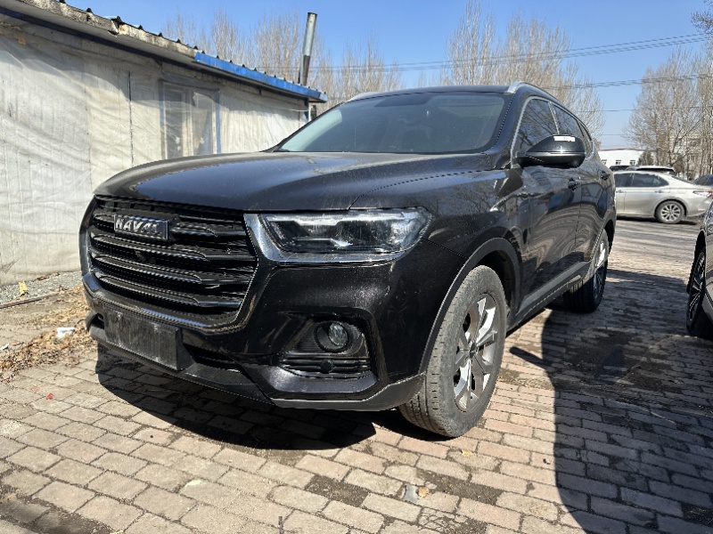 Haval H6 2021 National Tide Edition 1.5T Automatic Champion Edition