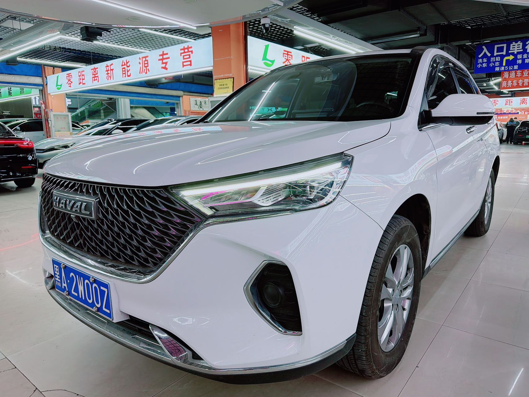 2021 Harvard M6 PLUS 1.5T Тип комфорта