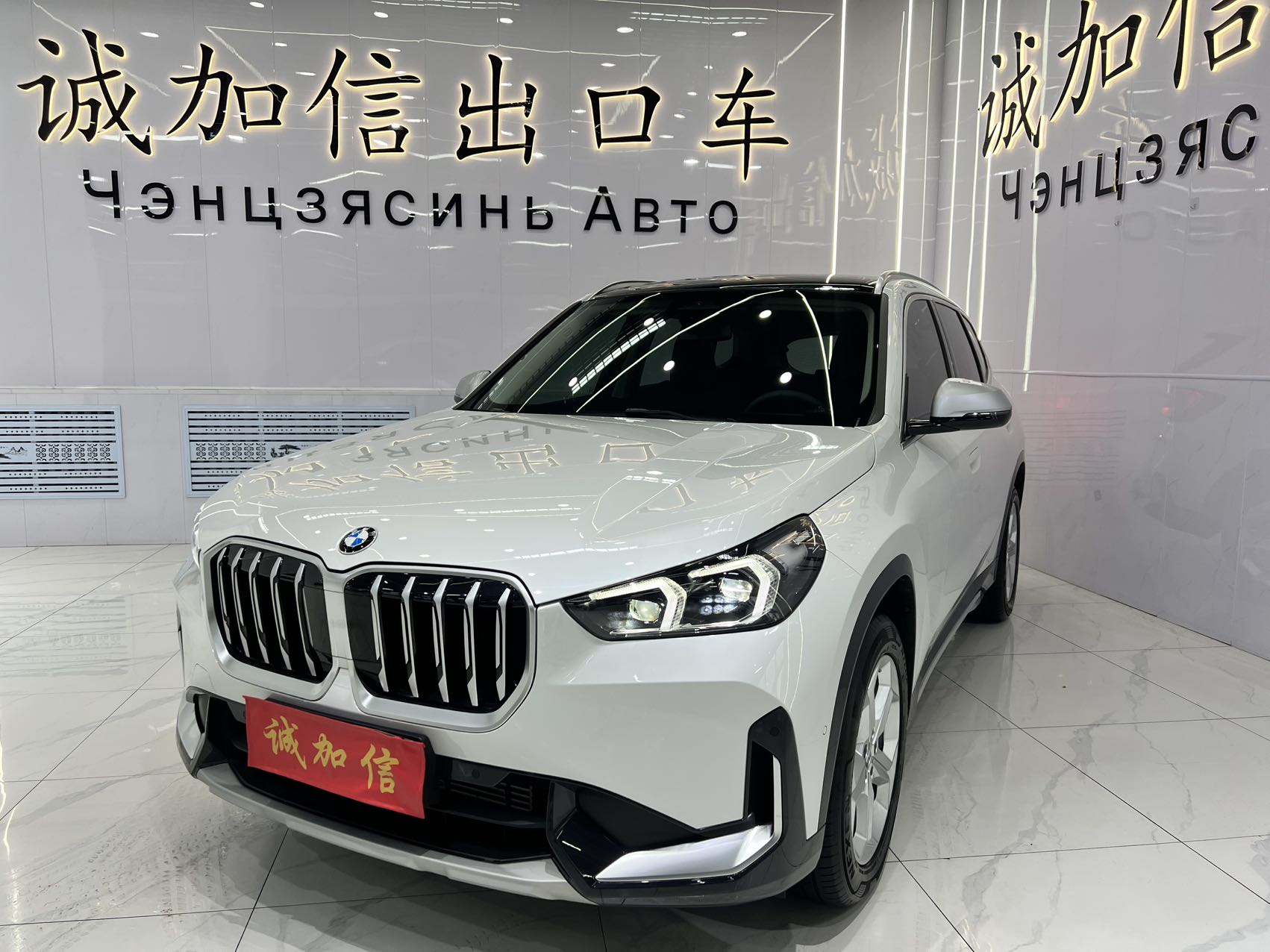2023 BMW X1 sDrive20Li X Дизайнерский набор