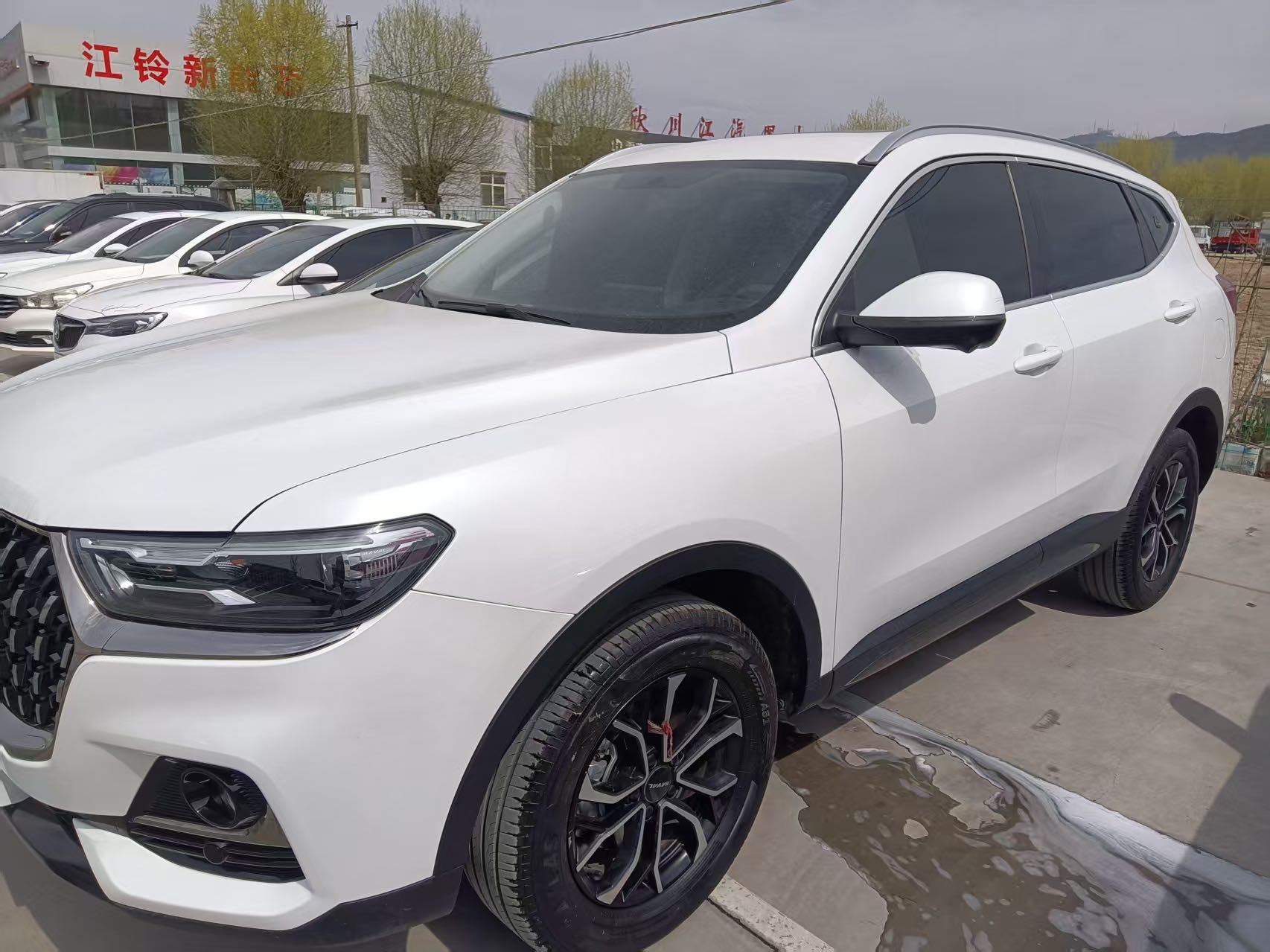 Haval H6 2023 National Trend Edition 1.5T Automatic Urban Edition