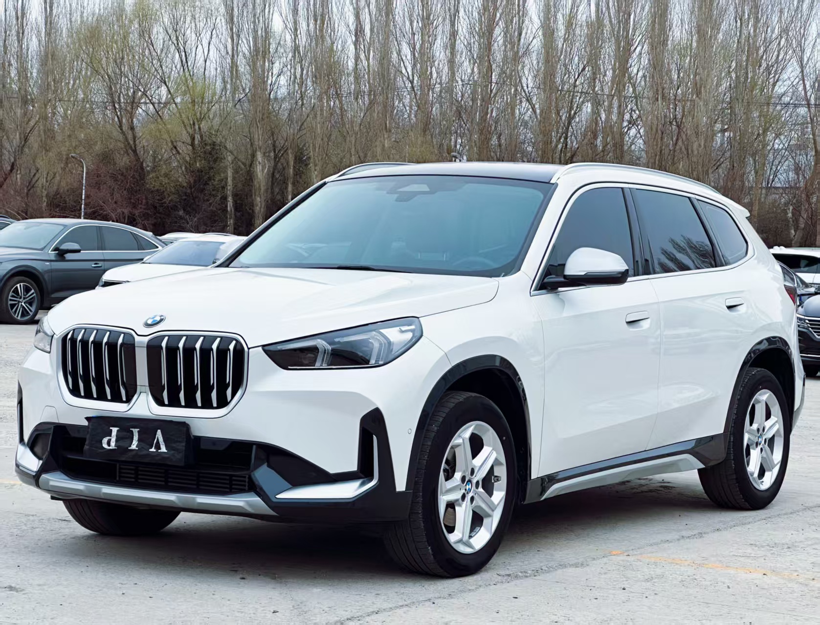 BMW X1 2023 sDrive20Li X Дизайн Пакет