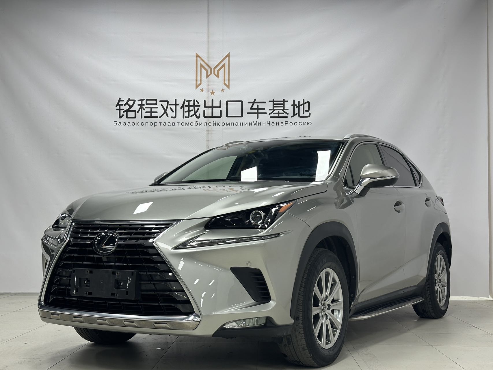 2020 Lexus NX 200 2.0L AWD F-Sport (China VI)